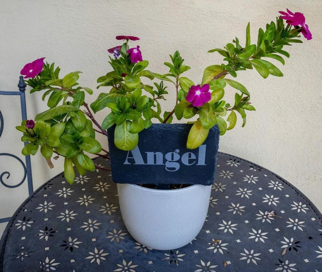 Angel @ Aragon Court Apartamento Marsascala Exterior foto